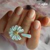 EPIC COVER No Wipe Top Coat AGLIA