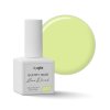 GUMMY BASE Lime Drink Base Gel Lack AGLIA