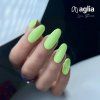 DIZZY color UV gel AGLIA