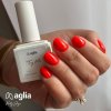 TRY ME color gel polish AGLIA
