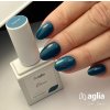 VISION color gel polish AGLIA