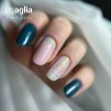 VISION color gel polish AGLIA