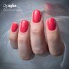 FLAIR One Step one-phase gel polish 3 in 1 AGLIA