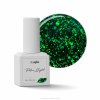 POLAR LIGHTS color gel polish AGLIA