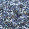 EXTREME GRAPHITE HOLOGRAM glitter per unghie AGLIA