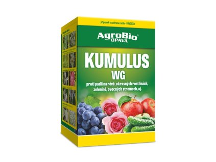 kumulus
