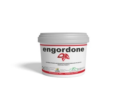 ENGORDONE 100GR REPCHECA