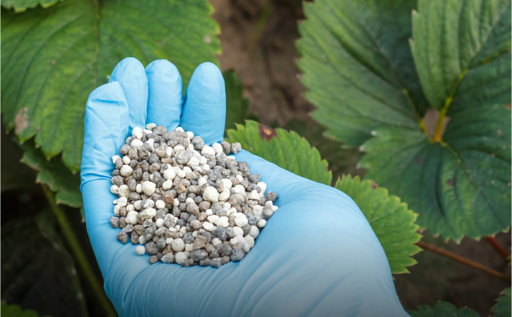 Jak používat cererit