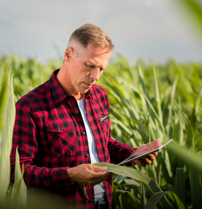 Poľnohospodárske rozbory