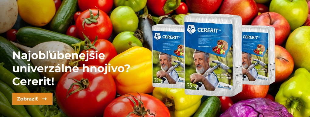 Cererit