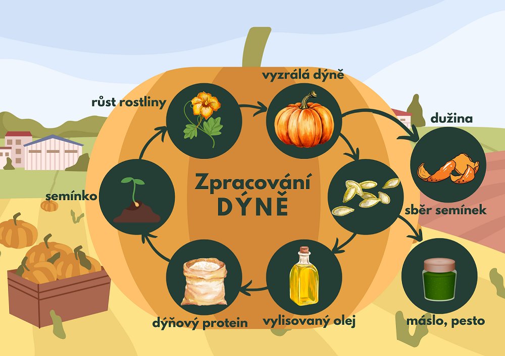 ZWdyne_in_web