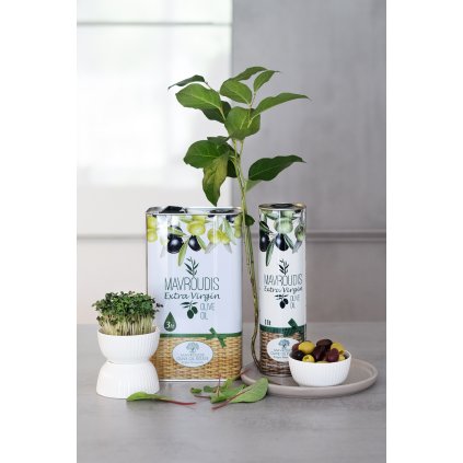 GRE 1509 copy EVOO web