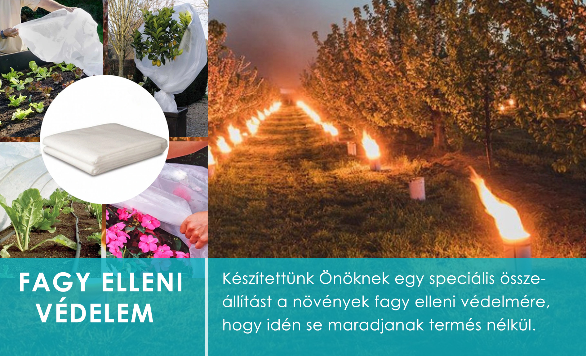 Védelem fagyok ellen