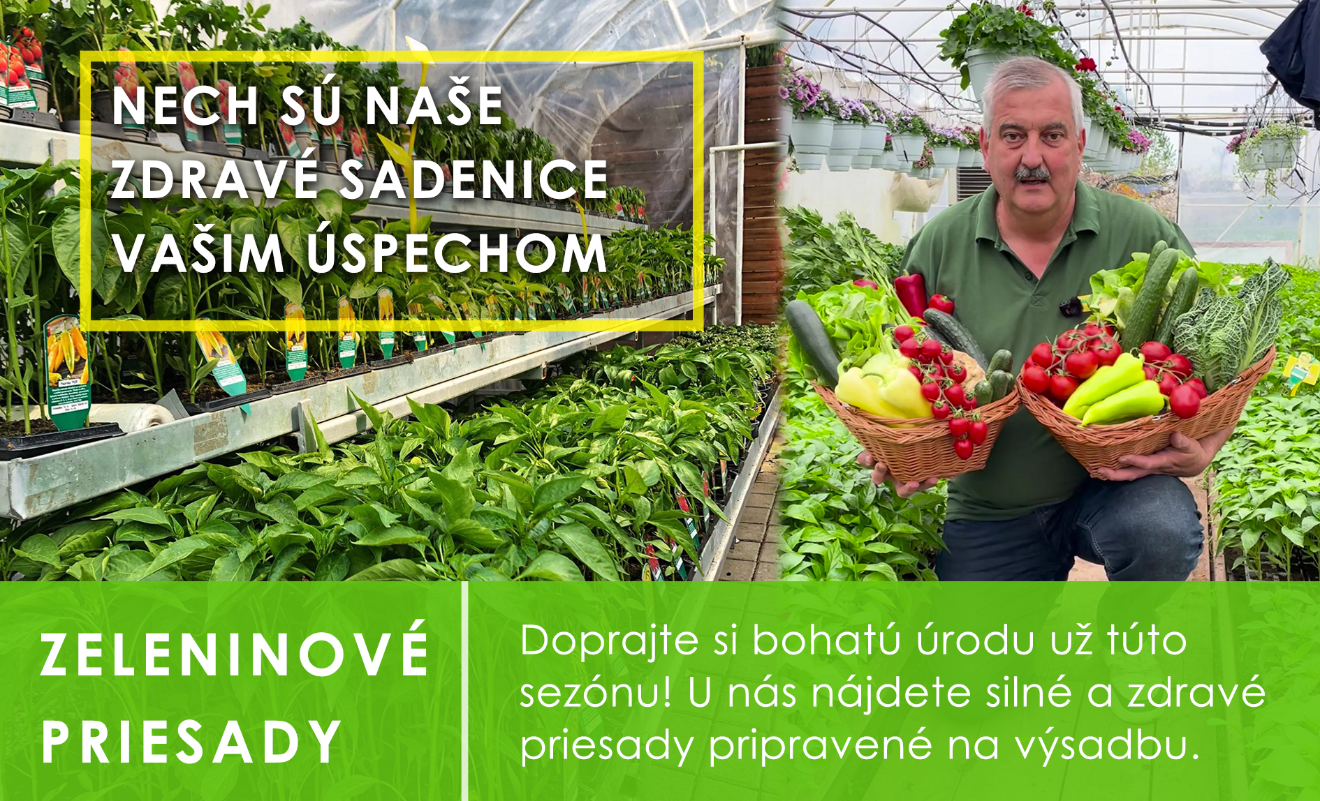 Zeleninové priesady