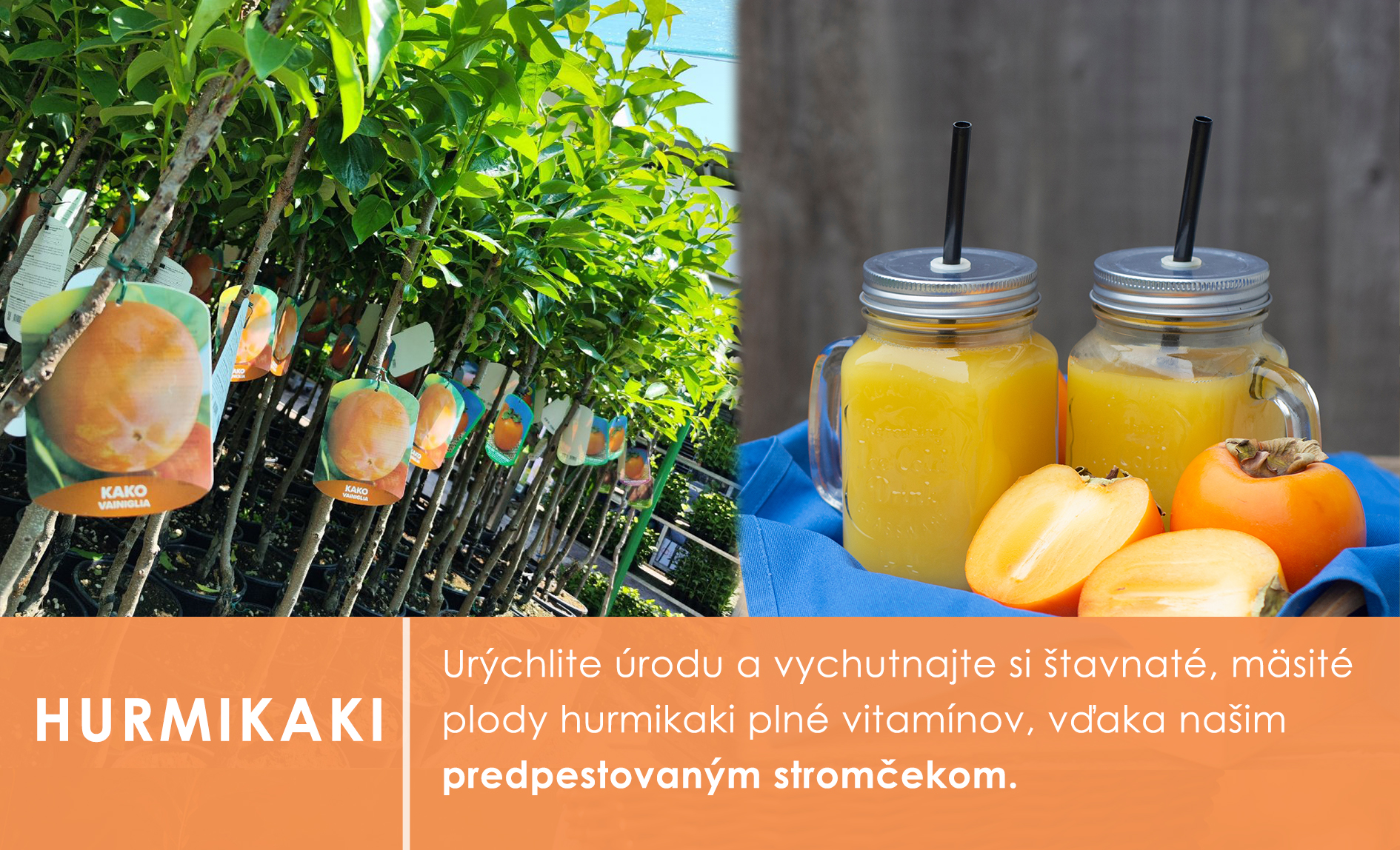Hurmikaki stromy