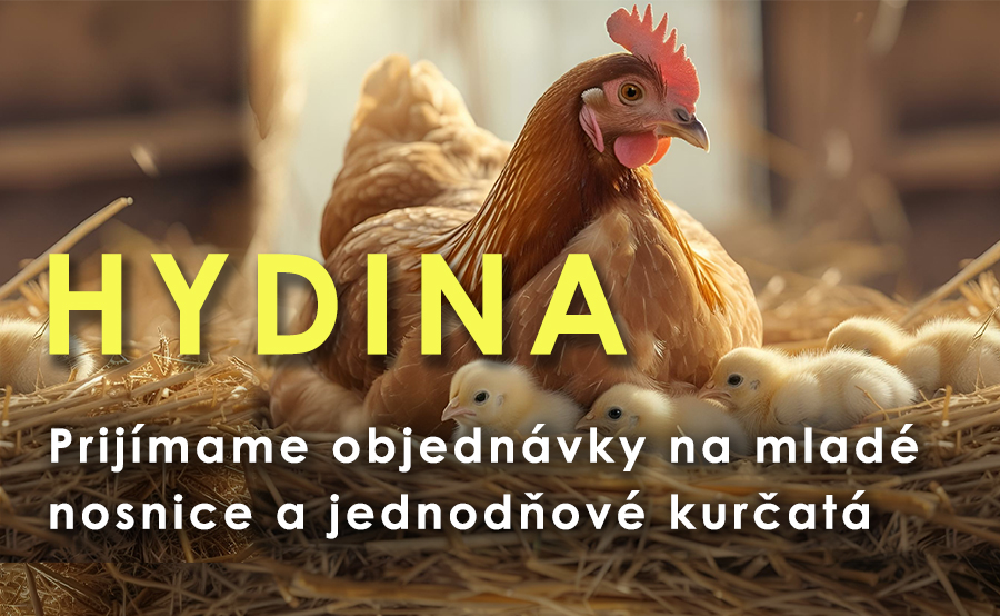 Hydina