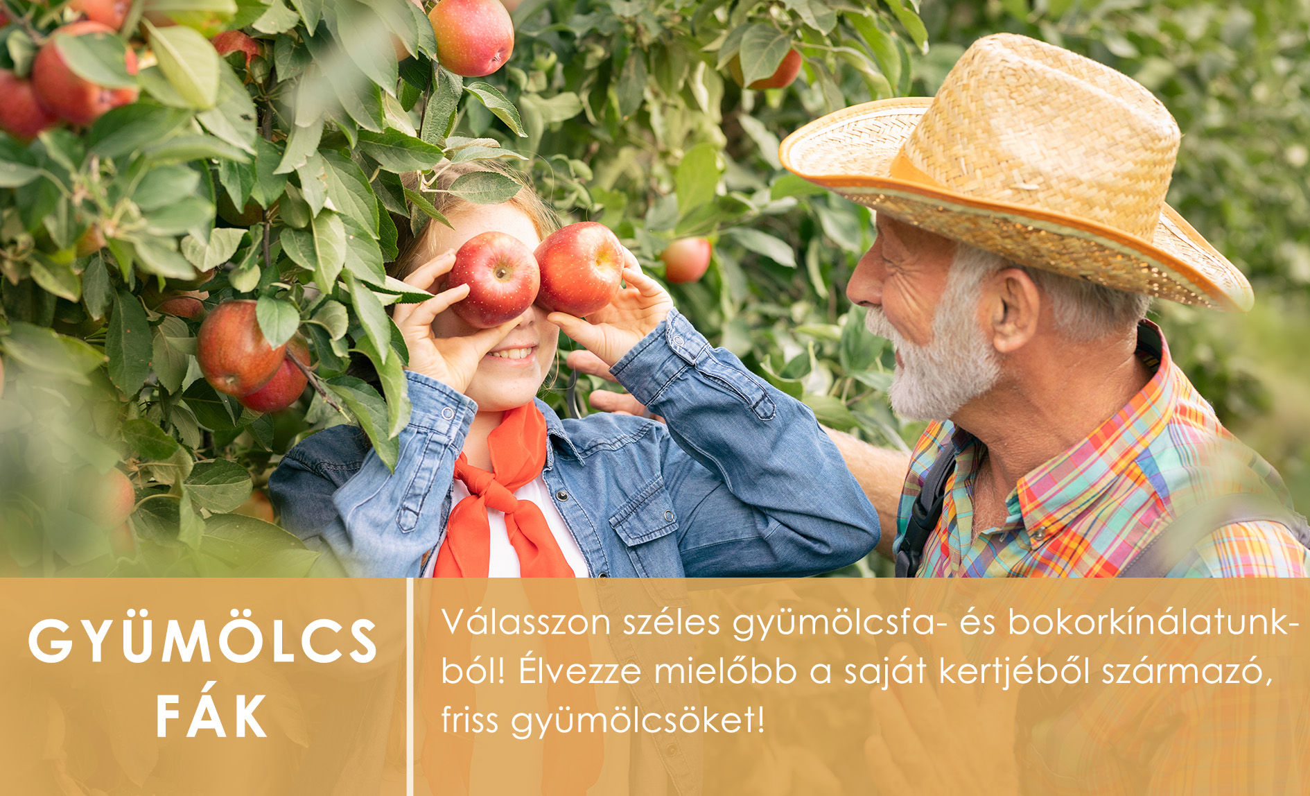 Gyümölcsfa vásár