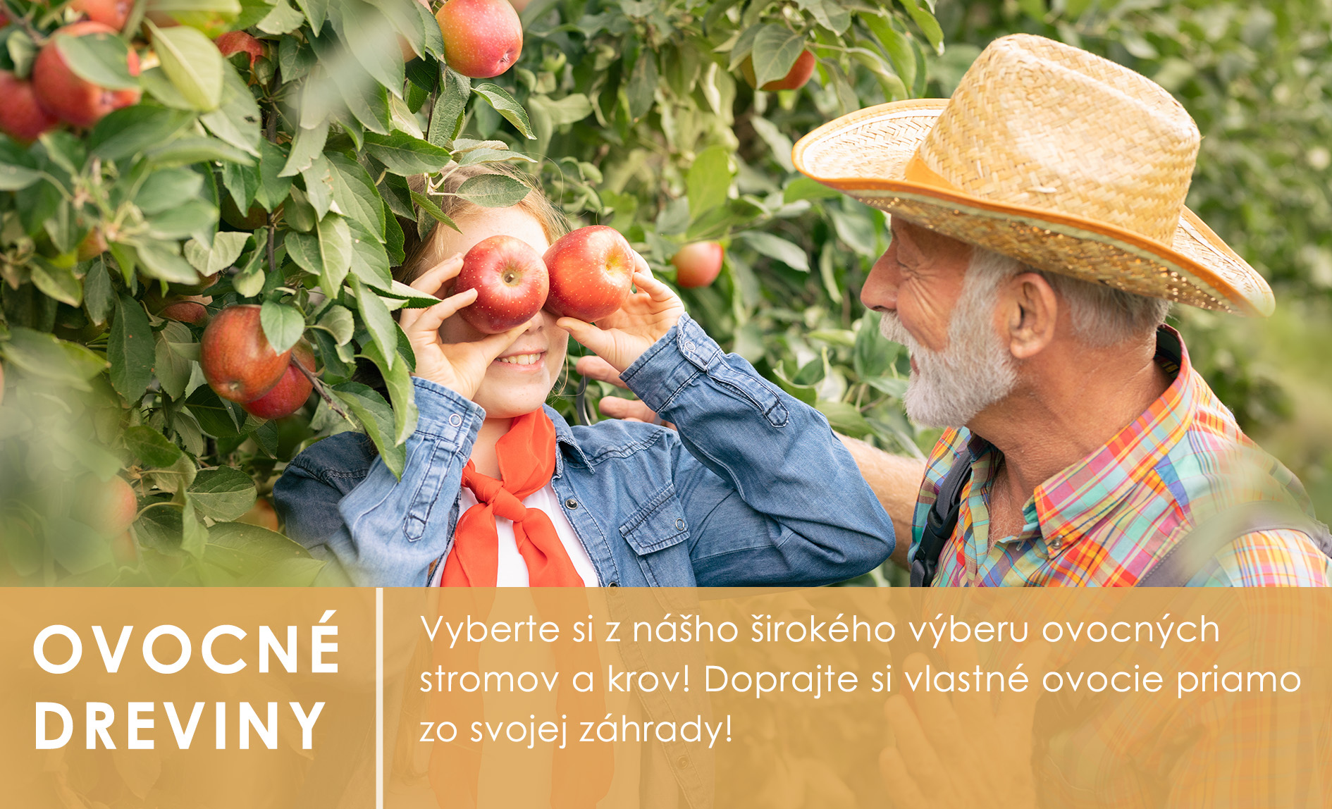 Ovocné dreviny jeseň