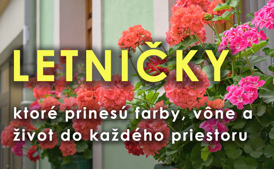 Letničky, balkónovky