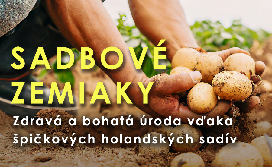 Sadbové zemiaky Agrocentrum