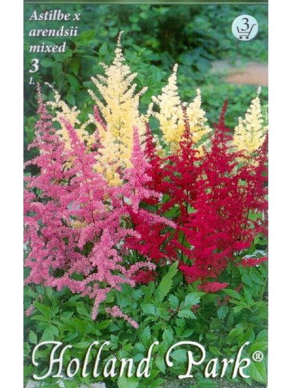 astilbe mixed