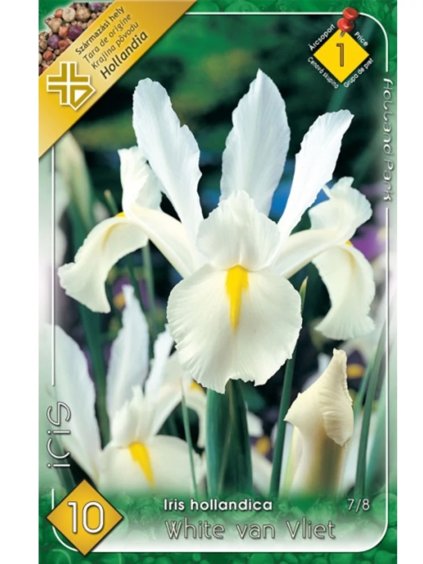 iris white van vliet 2