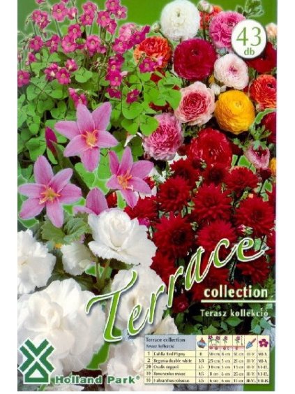 kolekcia terrace