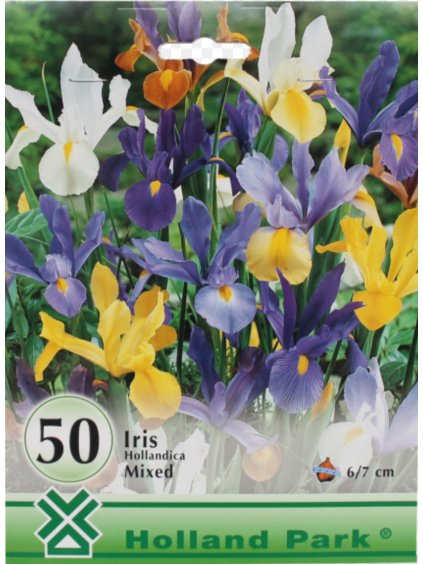 iris hollandica mixed 50ks