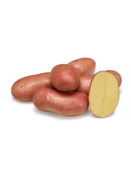 sadbove zemiaky manitou