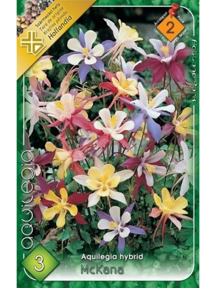 aquilegia