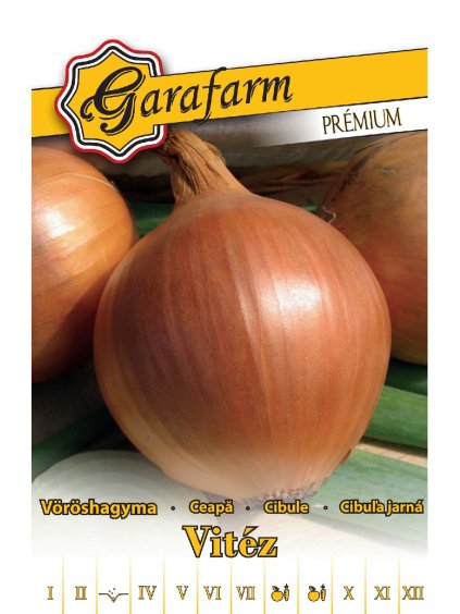 Cibuľa 'Vitéz' 1,5g garafarm