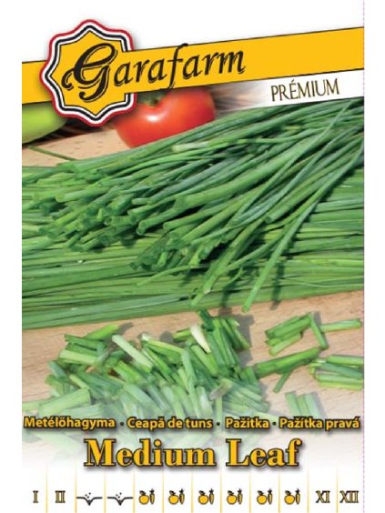 Pažitka 'Medium Leaf' 1g