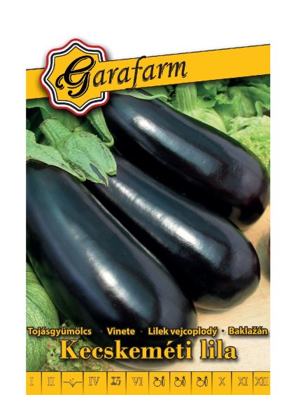 Baklažán 'Kecskeméti lila' 1g GF