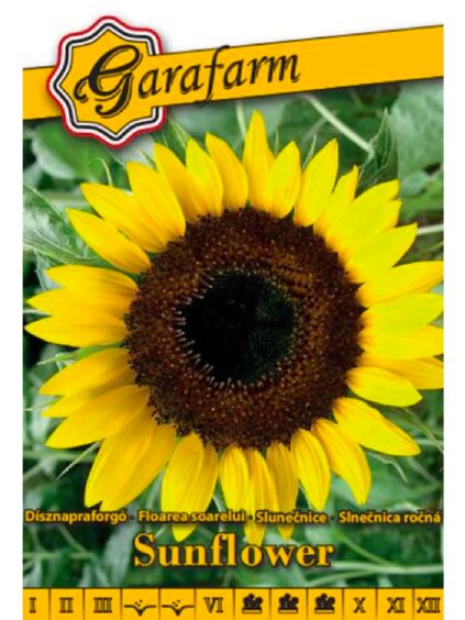 Slnečnica ozdobná ročná 1g garafarm