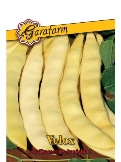 Fazuľa záhradná, tyčová, žltostruková 'Velox' 30g
