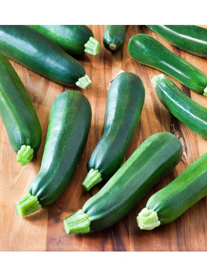 black beauty zucchini