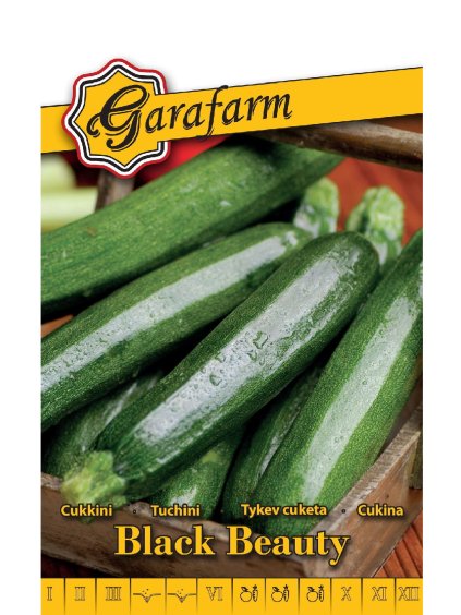 Cuketa 'Black Beauty' 3g GF