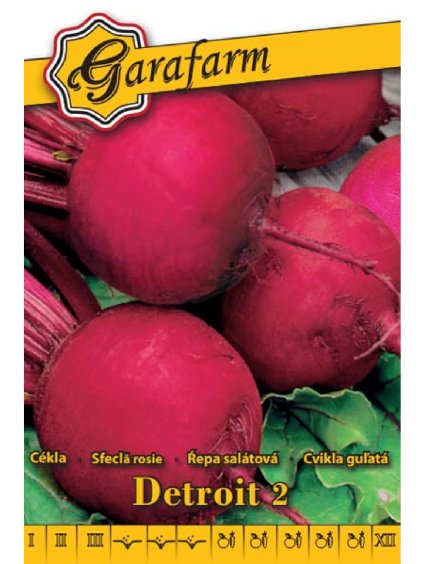 Cvikla 'Detroit 2' 3g garafarm