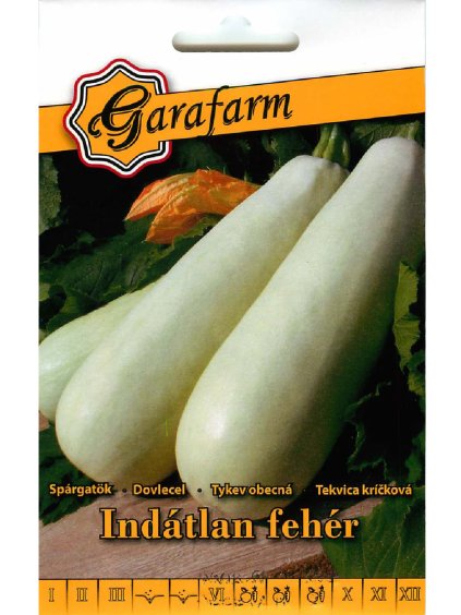 Tekvica 'Indátlan fehér' 3g