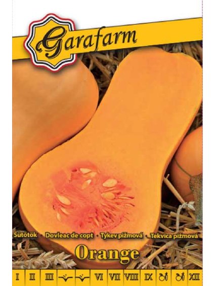 Tekvica 'Orange' 1g garafarm
