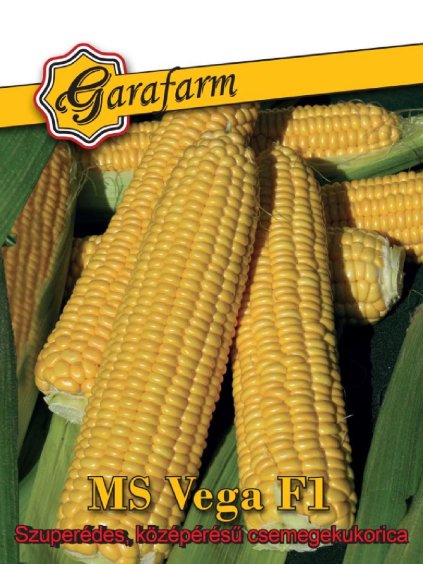 Kukurica siata cukrová 'Ms Vega F1' 25 semien GF