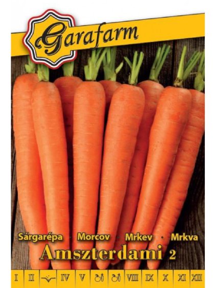 Mrkva 'Amsterdami 2' 3g garafarm