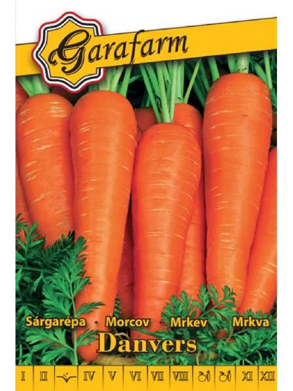 Mrkva obyčajná pravá 'Danvers' 3g