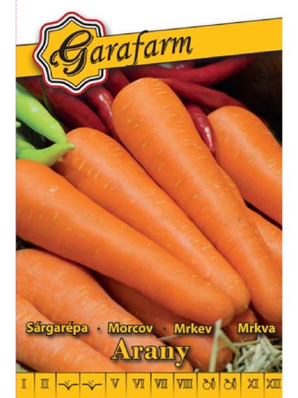 Mrkva obyčajná pravá 'Arany Chantenay' 4g