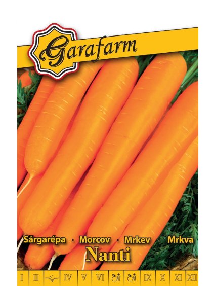 Mrkva obyčajná pravá 'Nanti Nantaise 2' 4g garafarm