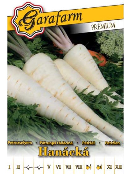 hanacka petrezselyem