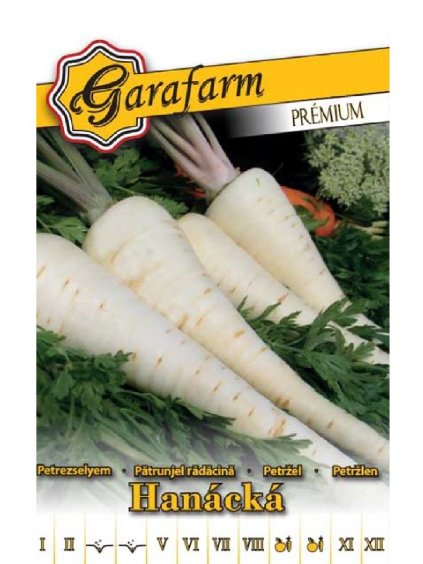 Petržlen 'Hanácká' 4g garafarm