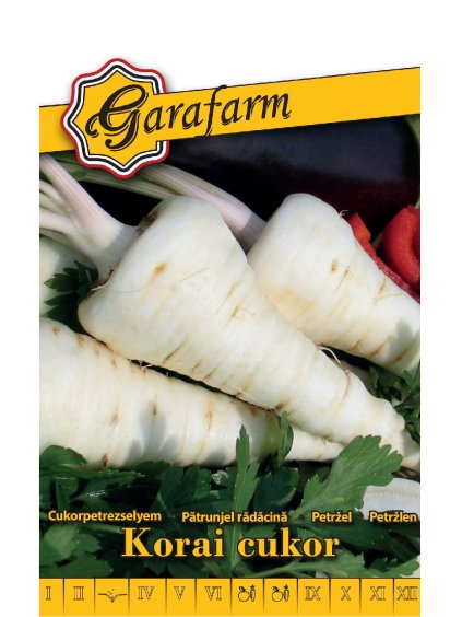 Petržlen 'Konika' 3g GF