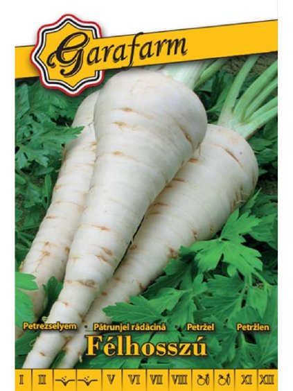 Petržlen záhradný koreňový 'Halblange' 4g