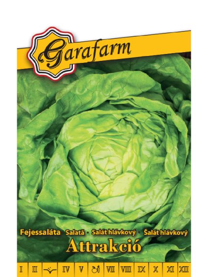Šalát hlávkový 'Attrakció' 2g GF